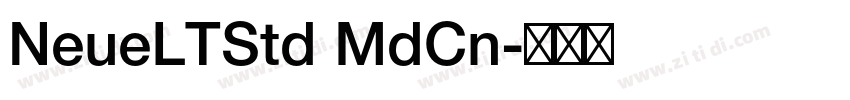 NeueLTStd MdCn字体转换